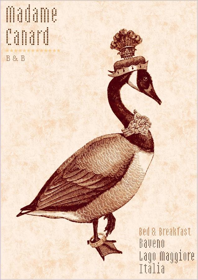 Madame Canard Baveno Exterior foto